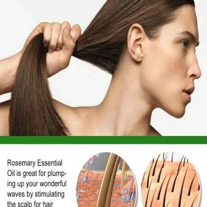 Hair Growth Essential Oil Repair Damaged Beauty Hair Care Prevent Hair Loss Serum Scalp Treatments for Men Women Hair Products